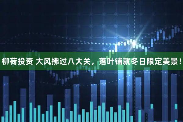 柳荷投资 大风拂过八大关，落叶铺就冬日限定美景！